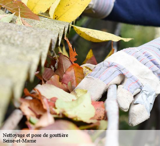 Nettoyage et pose de gouttière 77 Seine-et-Marne Arnaud Couverture l'habitat et le confort