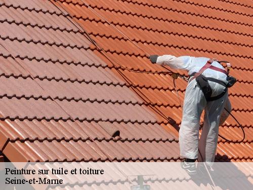Peinture sur tuile et toiture 77 Seine-et-Marne  Artisan Schtenegry