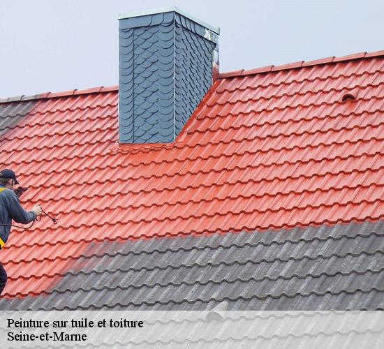 Peinture sur tuile et toiture 77 Seine-et-Marne LEFEBVRE Couverture