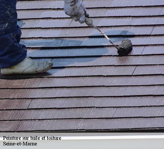 Peinture sur tuile et toiture 77 Seine-et-Marne  MCM Couverture