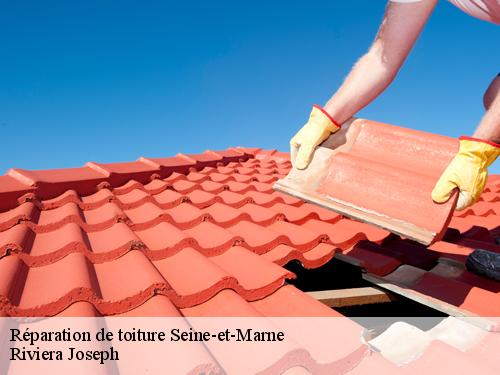 Réparation de toiture 77 Seine-et-Marne  Artisan Schtenegry