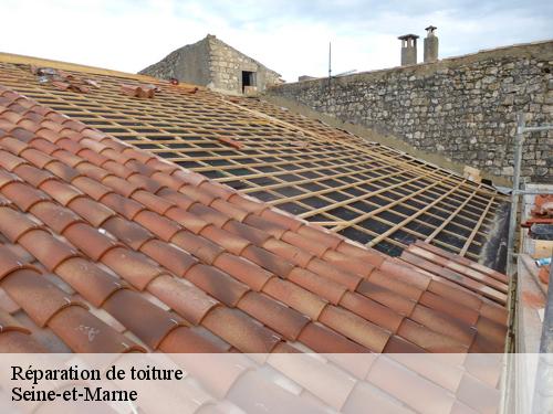 Réparation de toiture 77 Seine-et-Marne  Artisan Schtenegry