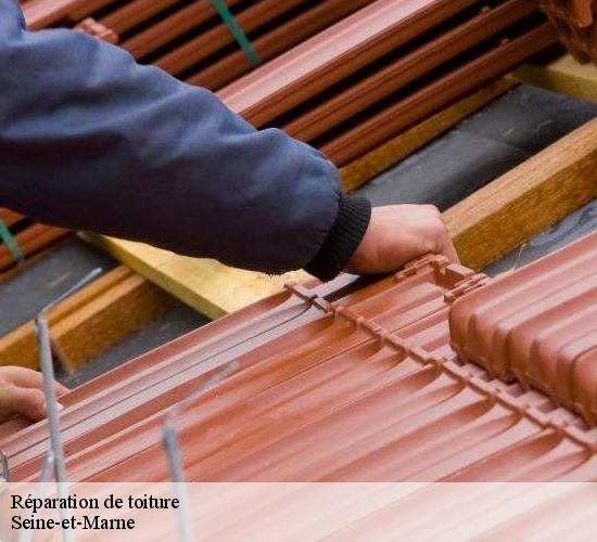 Réparation de toiture 77 Seine-et-Marne  MCM Couverture