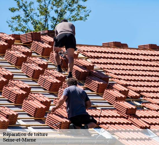 Réparation de toiture 77 Seine-et-Marne  MCM Couverture