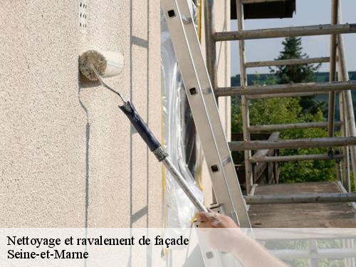 Nettoyage et ravalement de façade 77 Seine-et-Marne  Artisan Schtenegry