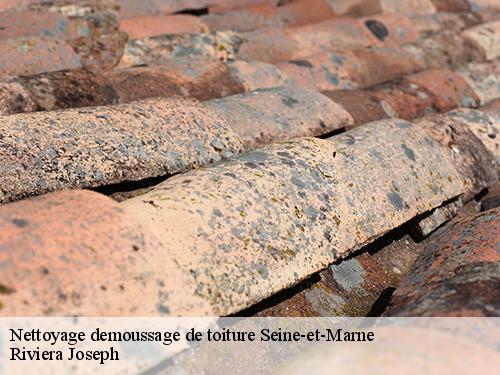 Nettoyage demoussage de toiture 77 Seine-et-Marne  Artisan Schtenegry