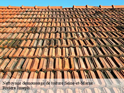 Nettoyage demoussage de toiture 77 Seine-et-Marne  Artisan Schtenegry