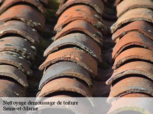 Nettoyage demoussage de toiture 77 Seine-et-Marne  Arnaud Couverture l'habitat et le confort 