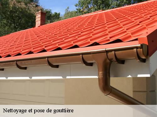 Nettoyage et pose de gouttière barcy-77910 Artisan Schtenegry