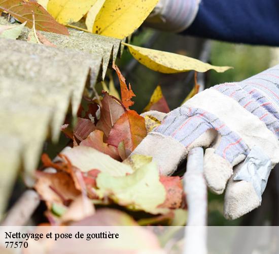 Nettoyage et pose de gouttière  bougligny-77570 AL couverture