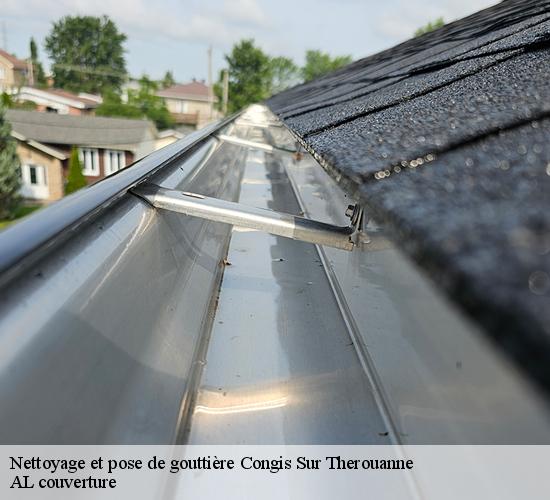 Nettoyage et pose de gouttière  congis-sur-therouanne-77440 AL couverture