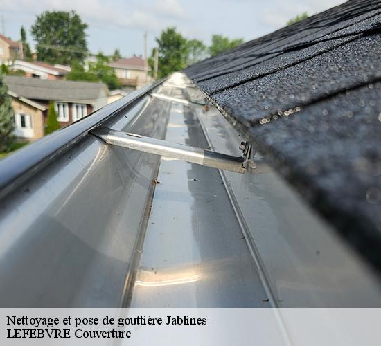 Nettoyage et pose de gouttière  jablines-77450 LEFEBVRE Couverture 