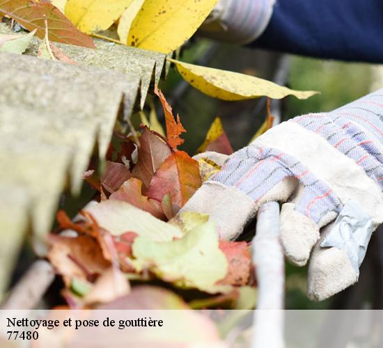 Nettoyage et pose de gouttière montigny-le-guesdier-77480 LEFEBVRE Couverture