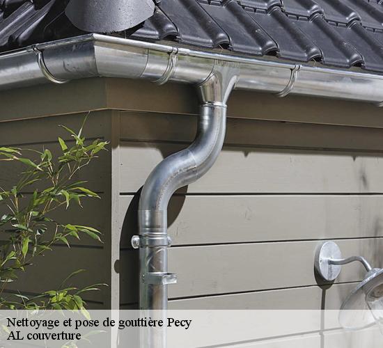 Nettoyage et pose de gouttière  pecy-77970 AL couverture