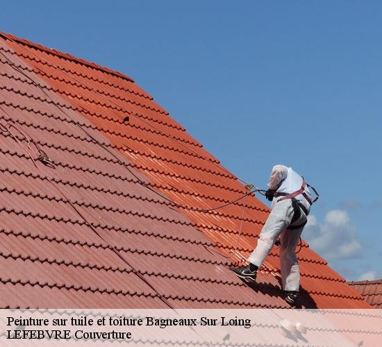 Peinture sur tuile et toiture  bagneaux-sur-loing-77167 LEFEBVRE Couverture 