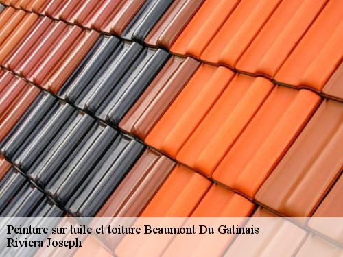Peinture sur tuile et toiture  beaumont-du-gatinais-77890 Riviera Joseph