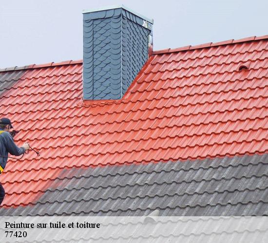 Peinture sur tuile et toiture champs-sur-marne-77420 MCM Couverture