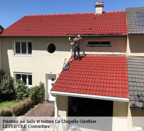 Peinture sur tuile et toiture  la-chapelle-gauthier-77720 LEFEBVRE Couverture 