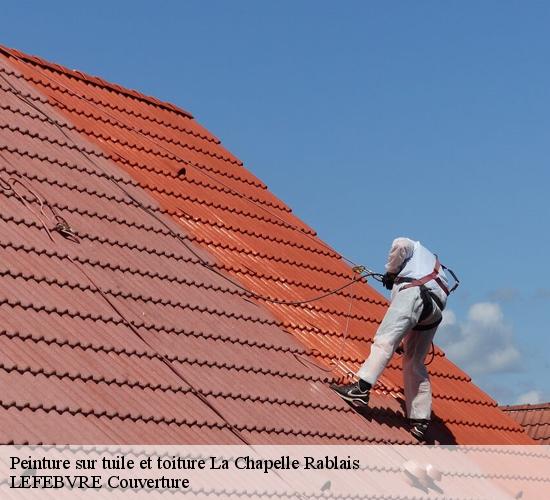 Peinture sur tuile et toiture la-chapelle-rablais-77370 LEFEBVRE Couverture