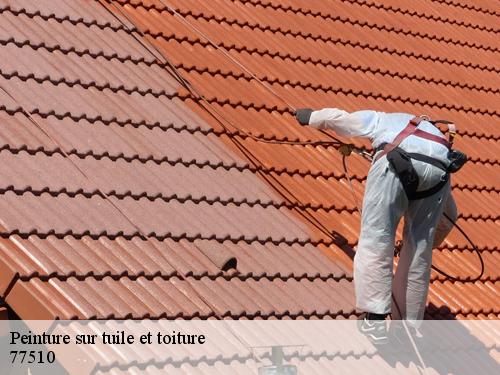 Peinture sur tuile et toiture  hondevilliers-77510 Arnaud Couverture l'habitat et le confort 