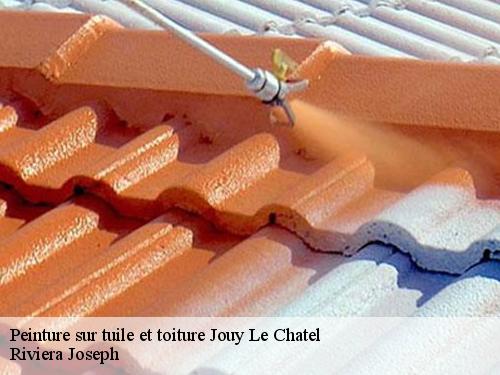Peinture sur tuile et toiture  jouy-le-chatel-77970 Artisan Schtenegry