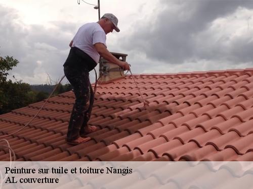 Peinture sur tuile et toiture nangis-77370 Artisan Schtenegry