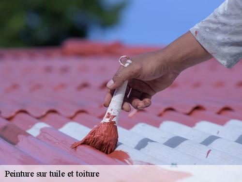 Peinture sur tuile et toiture obsonville-77890 Arnaud Couverture l'habitat et le confort