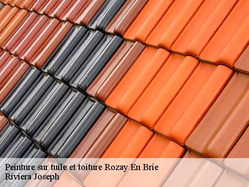 Peinture sur tuile et toiture  rozay-en-brie-77540 Riviera Joseph