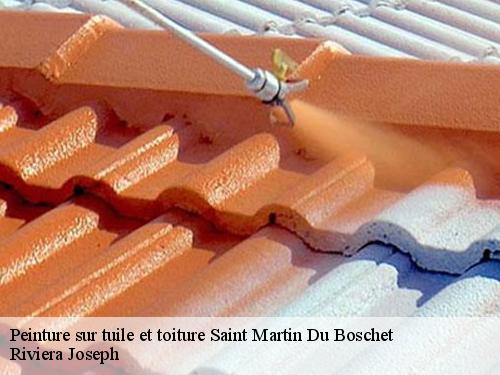 Peinture sur tuile et toiture  saint-martin-du-boschet-77320 Riviera Joseph