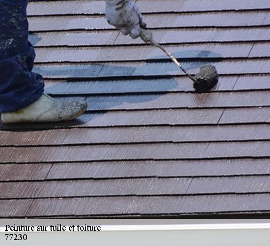 Peinture sur tuile et toiture  thieux-77230 AL couverture