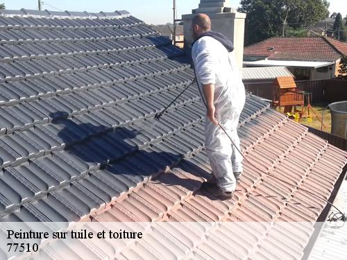 Peinture sur tuile et toiture  la-tretoire-77510 Arnaud Couverture l'habitat et le confort 