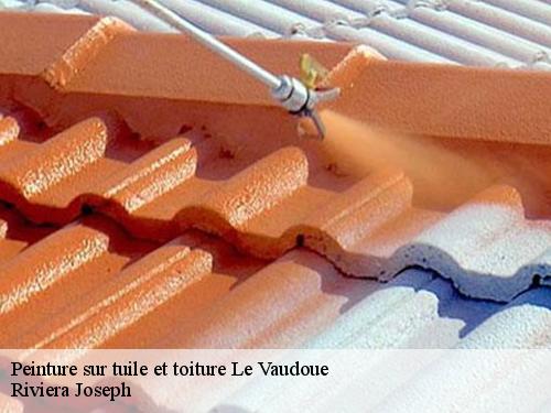 Peinture sur tuile et toiture  le-vaudoue-77123 Arnaud Couverture l'habitat et le confort 