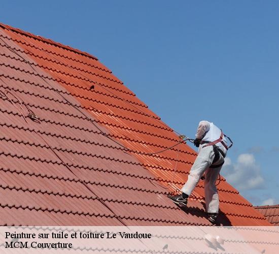 Peinture sur tuile et toiture  le-vaudoue-77123 MCM Couverture
