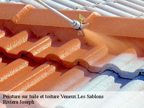 Peinture sur tuile et toiture  veneux-les-sablons-77250 Riviera Joseph