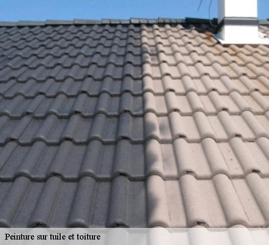 Peinture sur tuile et toiture  vieux-maisons-77320 AL couverture