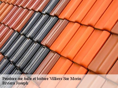 Peinture sur tuile et toiture  villiers-sur-morin-77580 Riviera Joseph