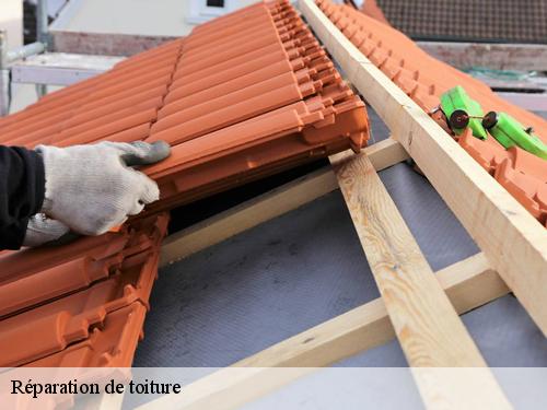 Réparation de toiture  barbizon-77630 Artisan Schtenegry