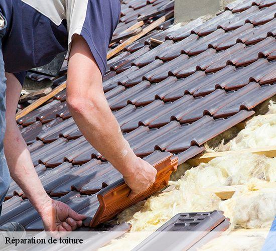 Réparation de toiture  beton-bazoches-77320 AL couverture