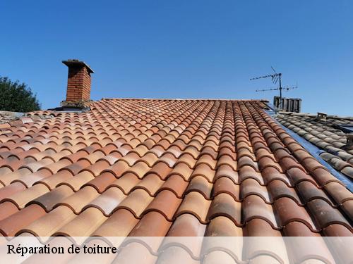 Réparation de toiture  boissy-aux-cailles-77760 Riviera Joseph