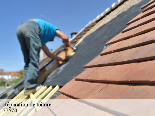 Réparation de toiture  bougligny-77570 Riviera Joseph
