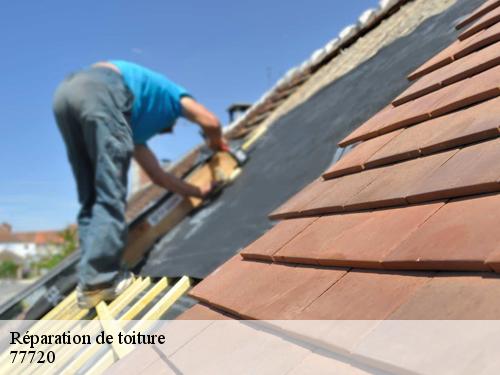 Réparation de toiture  la-chapelle-gauthier-77720 Riviera Joseph
