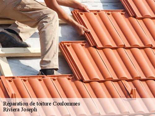 Réparation de toiture  coulommes-77580 Riviera Joseph