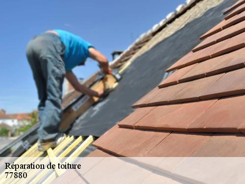 Réparation de toiture  grez-sur-loing-77880 Riviera Joseph