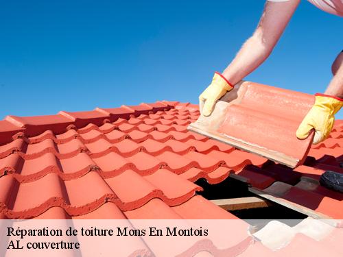 Réparation de toiture mons-en-montois-77520 Artisan Schtenegry