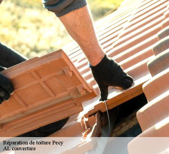 Réparation de toiture  pecy-77970 AL couverture