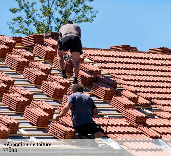 Réparation de toiture la-rochette-77000 MCM Couverture