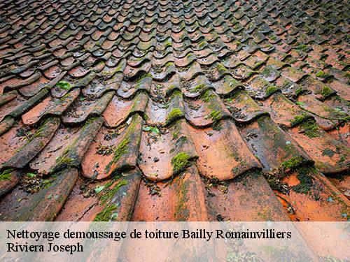 Nettoyage demoussage de toiture  bailly-romainvilliers-77700 Riviera Joseph
