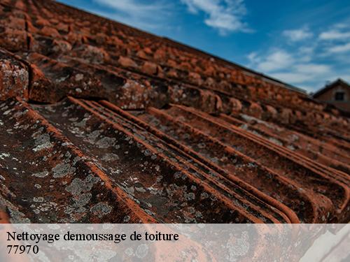 Nettoyage demoussage de toiture  bannost-villegagnon-77970 Riviera Joseph