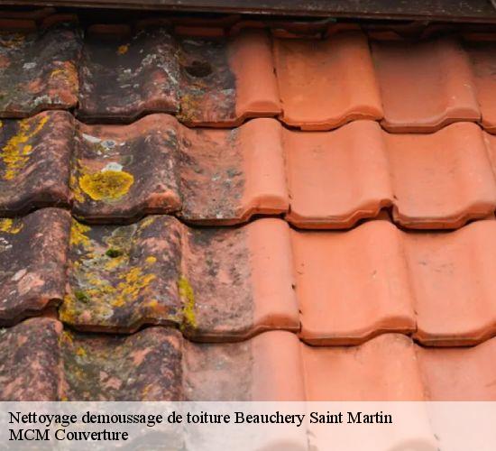 Nettoyage demoussage de toiture beauchery-saint-martin-77560 MCM Couverture