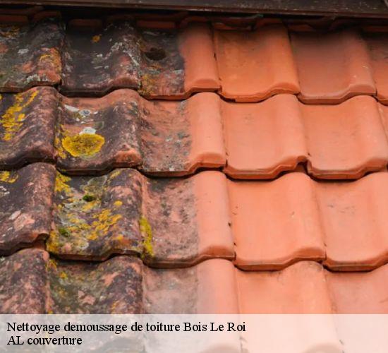 Nettoyage demoussage de toiture  bois-le-roi-77590 AL couverture